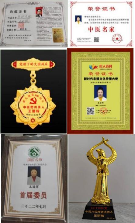 中医药优秀传承人——王丽辉