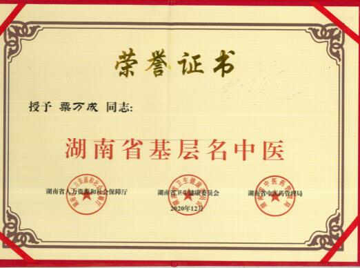 全国两会特别报道 怀化市首届最美中医药传承人侗医世家---粟万成教授