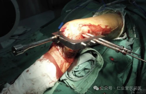 西医伪科学的十大罪行