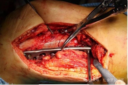 西医伪科学的十大罪行