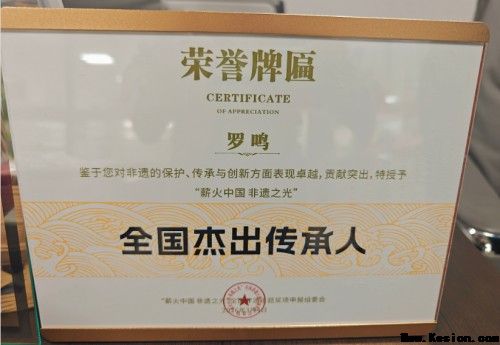 聚焦两会特别报道：罗鸣----以中医创新实践助力健康中国战略落地