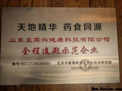 守正岐黄路，仁心济苍生——中医传承者苑娥的四十载创新实践