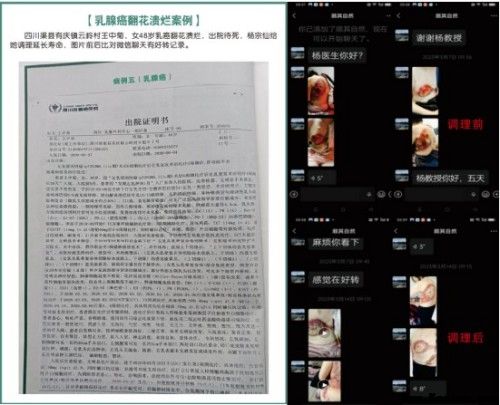 礼赞八一专题报道 著名国医大师---杨宗仙