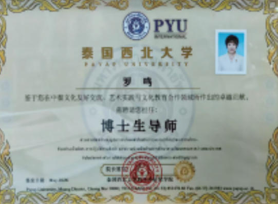 第九届中国医师节特别报道最美中医师罗鸣：岐黄仁心二十载 大医精诚护苍生