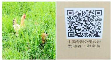 发明者 — 谢富苗