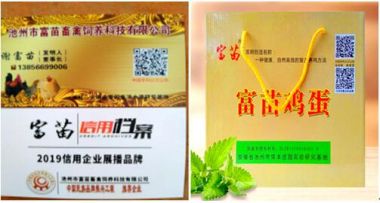 发明者 — 谢富苗