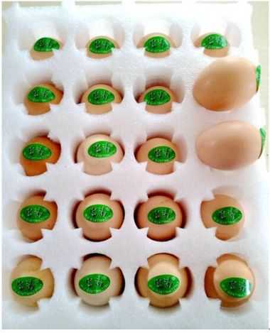 发明者 — 谢富苗