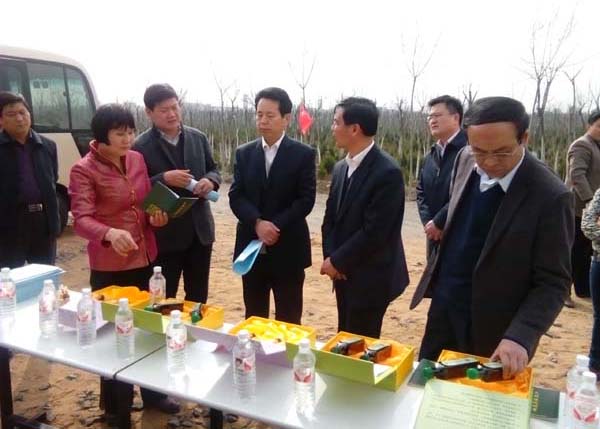 2015年3月20日省林业厅吴庆刚厅长（右三）、陈站长（左三）来苗圃考察指导工作