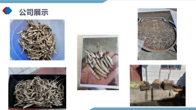 2024两会特别报道 著名优秀诚信企业家---余国平