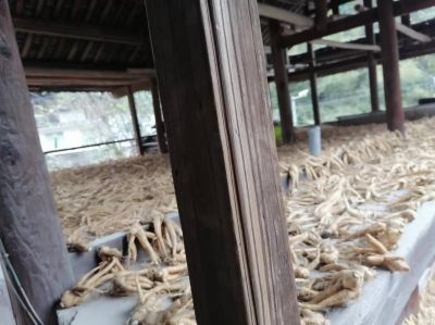 2024两会特别报道 著名优秀诚信企业家---余国平