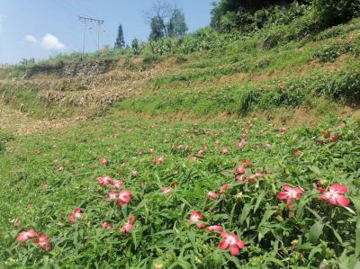 2024两会特别报道 著名优秀诚信企业家---余国平