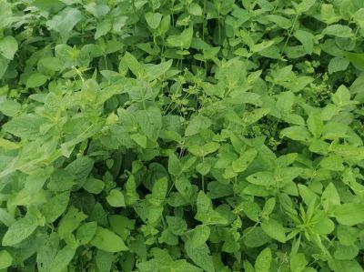 2024两会特别报道 著名优秀诚信企业家---余国平