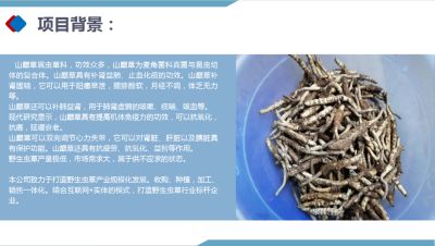 2024两会特别报道 著名优秀诚信企业家---余国平