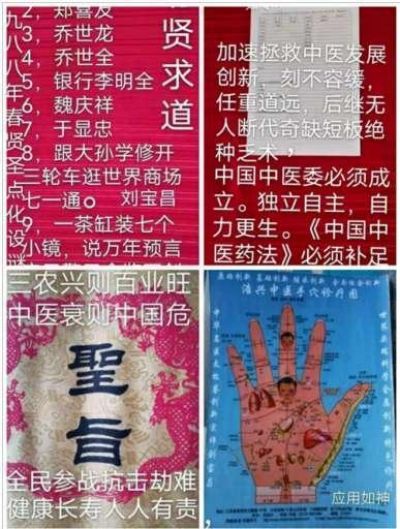 大国医者国医名师 中国当代医学创新之父——刘宝昌