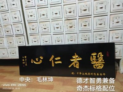 大国医者国医名师 中国当代医学创新之父——刘宝昌
