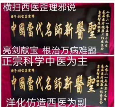 大国医者国医名师 中国当代医学创新之父——刘宝昌