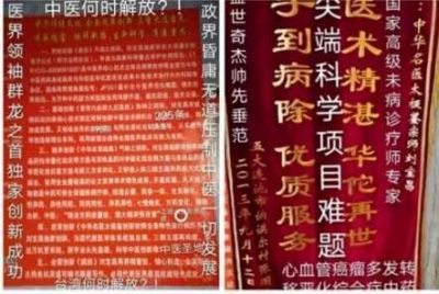 大国医者国医名师 中国当代医学创新之父——刘宝昌