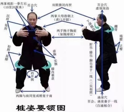 承千年文化 扬中医德馨 特别报道 著名中华名医——刘纯红