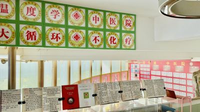 温度学派中医治肿瘤六大系统法之一： 开创中医诊病《五脏 四肢体表温度分析法》