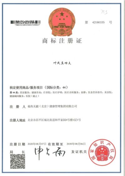 北京健康集团 气化功宗师—叶霄汉