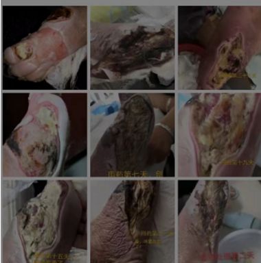 中国传统文化传承人--悟慧慈智法师