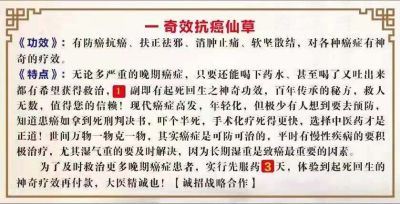 朱盛虎壮医抗癌大师·危急重症专家