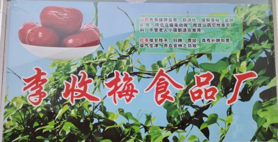 两会重点推荐 麦积区的民间中医之光---李收梅