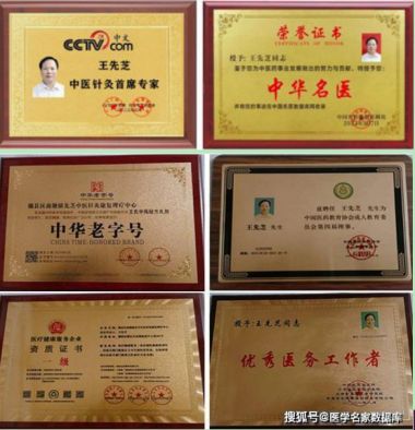 以匠心致初心  以初心之未来 访著名中医针灸康复理大师---王先芝