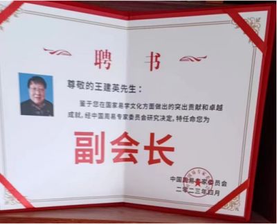 吉祥如意庆龙年·欢天喜地迎新春 访国医名师---王建英