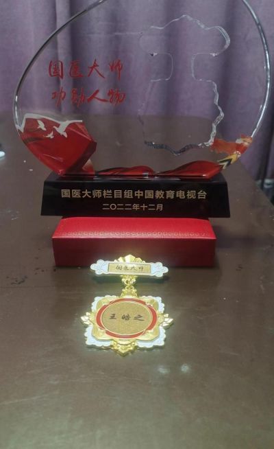 奋进新时代•筑梦新征程 国旗下的大国医者——王皓之