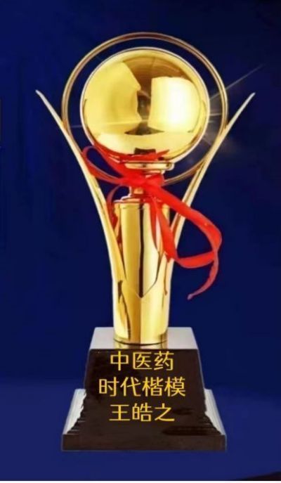 奋进新时代•筑梦新征程 国旗下的大国医者——王皓之