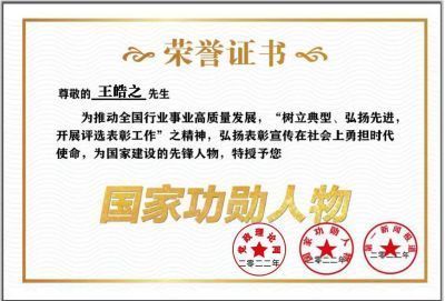 奋进新时代•筑梦新征程 国旗下的大国医者——王皓之