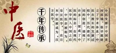 2024两会专题报道 著名中医肿瘤专家---肖志堂