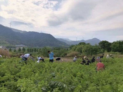 【江西药仙谷】六十载医者初心，不负中医药美丽家园