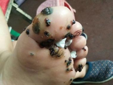 恭贺陈国林荣获“国医泰斗”荣誉称号