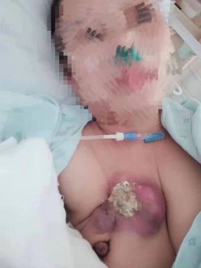 中国湘西苗医陈氏祖传秘方民间地产中草药技术---陈海峰