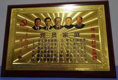 中国湘西苗医陈氏祖传秘方民间地产中草药技术---陈海峰