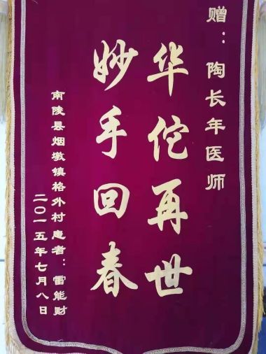 中国当代名医——陶长年