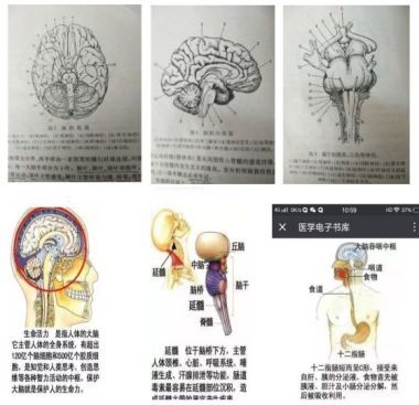 中国当代名医——陶长年
