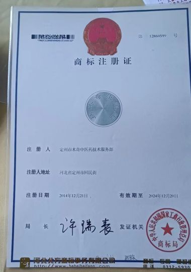 党旗下的国医名师  大健康时代楷模 ——马术奇