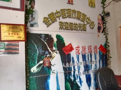 二十载医路奋进，特色疗法领航——高谷良（高金鹏）的中医康复创新征程