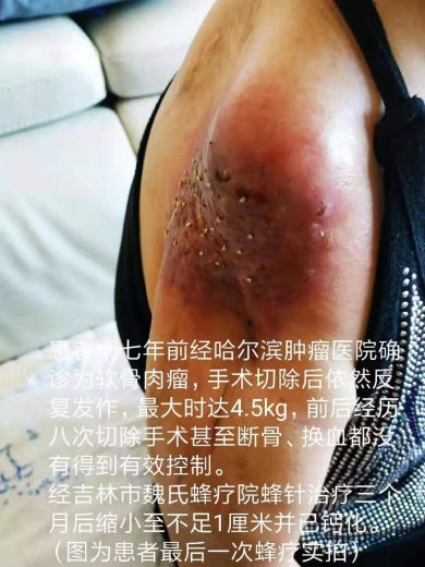 承千年文化 扬中医德馨 访大国医者---魏英明