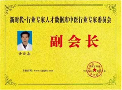 匠心铸仁术 妙手济苍生 著名中医专家——黄俊森