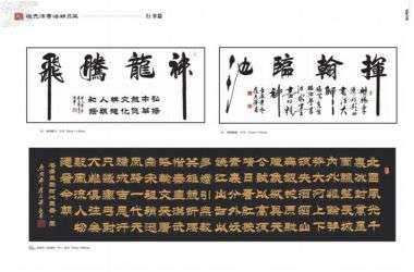 中国国粹传承人——崔元泽  书法作品全集