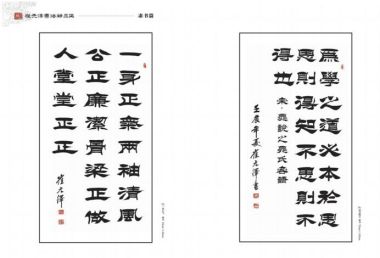 中国国粹传承人——崔元泽  书法作品全集