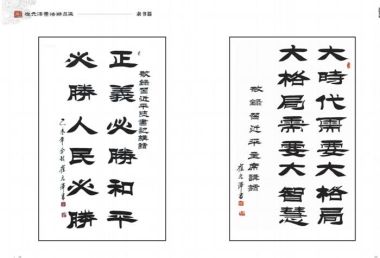 中国国粹传承人——崔元泽  书法作品全集